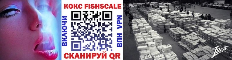 ссылка на мегу сайт Славгород Cocaine Fish Scale закладки