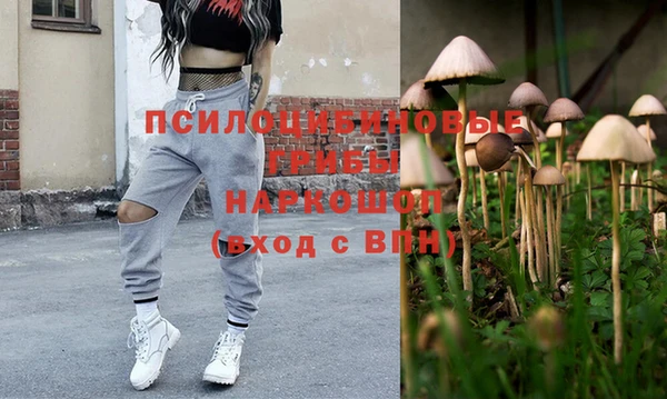 бошки Беломорск