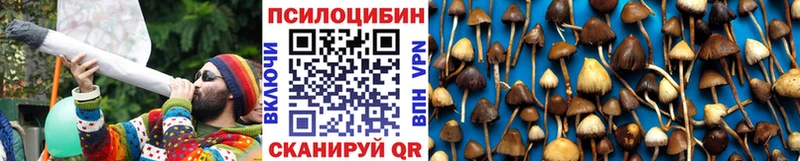 как найти закладки  Славгород  Псилоцибиновые грибы Magic Shrooms 